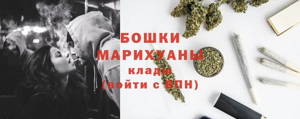 крисы Медногорск