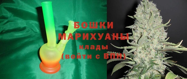 крисы Медногорск